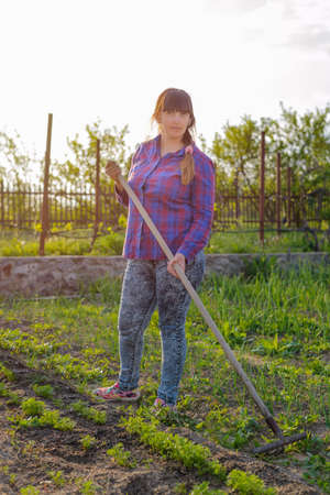 Smiling middle-aged woman leaning on her rake as she works in the vegetable garden in evening light...