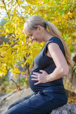 Heavily pregnant young woman outdoors in nature sitting on a rock in front of a colorful yellow autumn tree caressing her belly with loveの写真素材