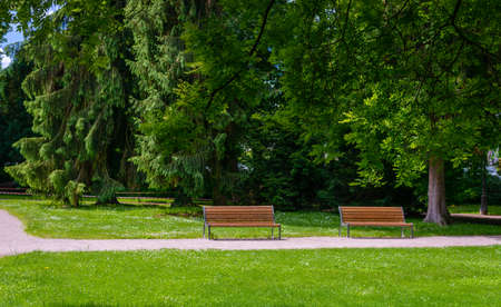 Two empty rustic wooden benches alongside a path or walkway in a tranquil verdant spring park with leafy green treesの写真素材