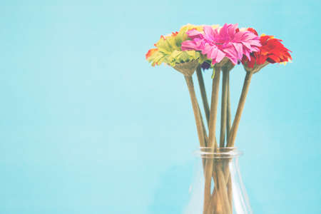 flowers on blue background with copy space - soft light effectの写真素材