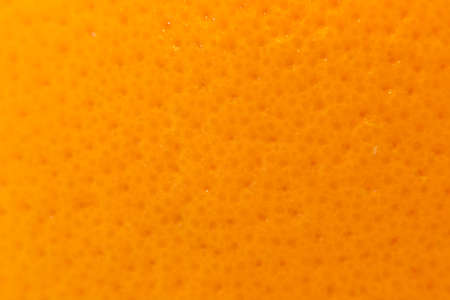 close up shot of a orange peelの写真素材