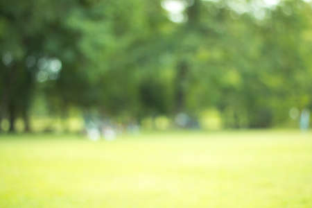Blurred park, natural backgroundの写真素材