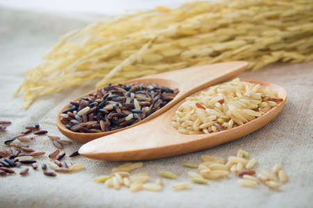 Black rice and brown rice in spoons selected focus - vintage effectの写真素材