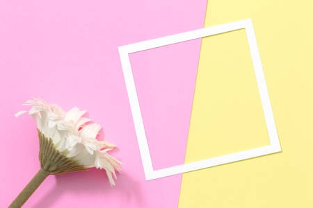 Empty frame and flower flat lay on pastel background with copy space. Soft effect filter. Minimal concept.の写真素材