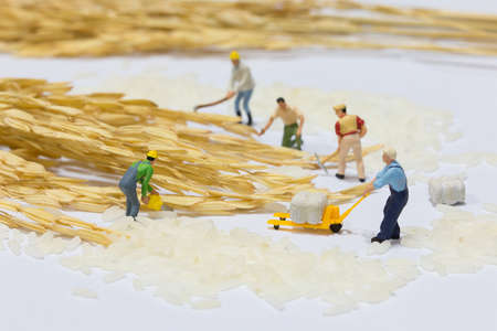 Group of miniature people harvest rices, team support and help concept. Business teamwork concept.