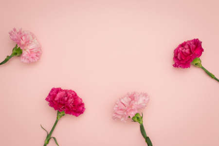 Flower, composition flat layの写真素材