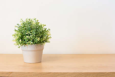 Plant on book shelf or desk.