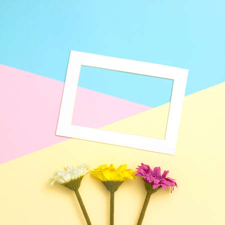 Empty frame and flowers flat lay on pastel background with copy space. Soft effect filter. Minimal concept.の写真素材