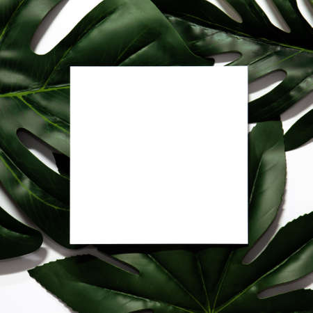 Creative layout made of tropical leaves with empty white paper frame. Flat lay. Eco nature concept....