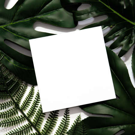 Creative layout made of tropical leaves with empty white paper frame. Flat lay. Eco nature concept....