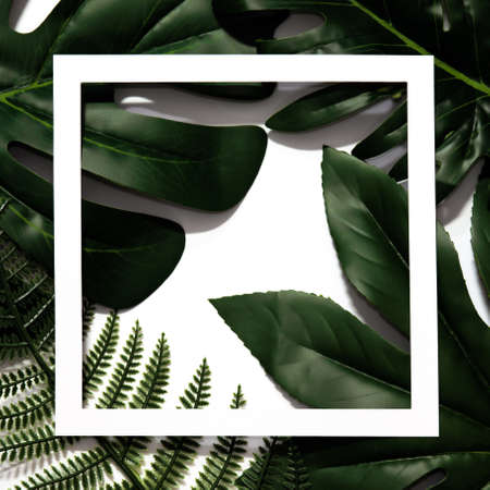 Creative layout made of tropical leaves with empty white paper frame. Flat lay. Eco nature concept. Minimal style.の写真素材