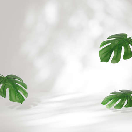 Empty room or studio with sunny shadow. Minimal and nature scene backdrops for product display. 3D Rendering.の写真素材