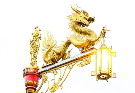 Golden Chinese Dragon isolationの写真素材