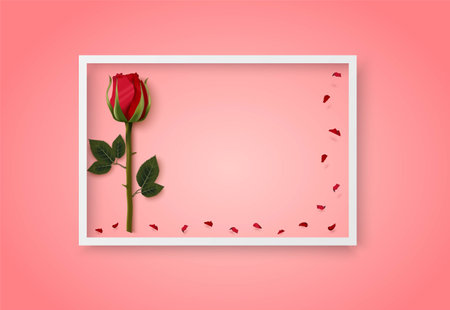 Valentines day pink vector background with roseのイラスト素材