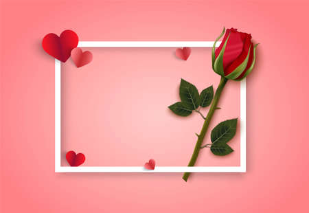 Valentines day pink vector background with roseのイラスト素材