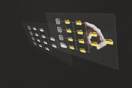 Document Management System DMS, Online document database management, Organization document...