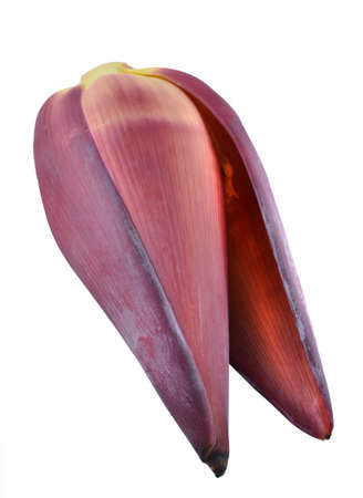 Banana flower eaten as delicious vegetableの写真素材