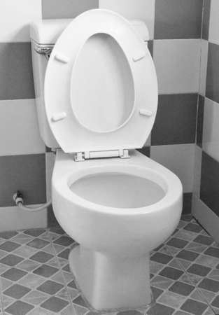toiletの写真素材