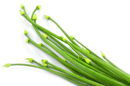 Ripe spring onion isolated on white backgroundの写真素材