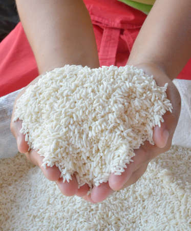 Handful of riceの写真素材