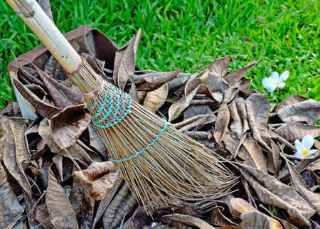 Sweeping autumn leaves with natural brushの写真素材