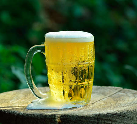 Glass of light beer on wood background の写真素材