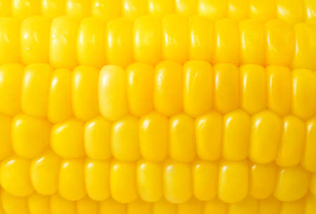 corn background, macro closeupの写真素材