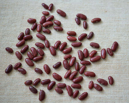 red kindey beenの写真素材