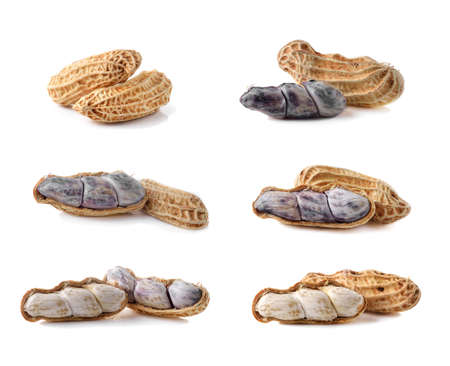 peanuts isolated on white backgroundの写真素材
