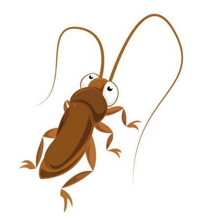 Big-eyed cockroachのイラスト素材