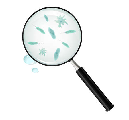 Magnifying glass and protozoa in the blobのイラスト素材