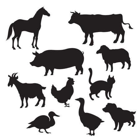 Vector image of Silhouettes of domestic animalsのイラスト素材