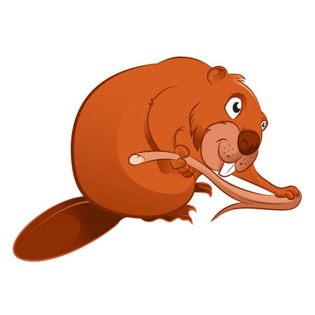 Vector image of an cartoon brown Beaverのイラスト素材
