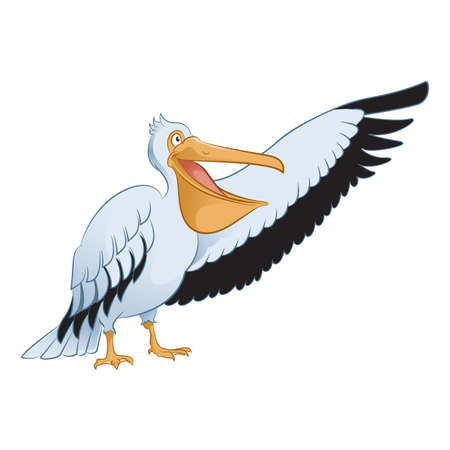 cartoon showing Pelicanのイラスト素材