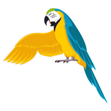 Vector image of a cartoon greeting parrotのイラスト素材