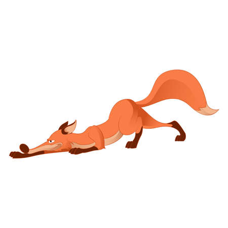 Vector image of a Cartoon sly foxのイラスト素材