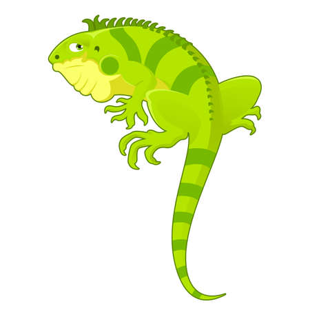 Vector image of a cartoon green Iguanaのイラスト素材