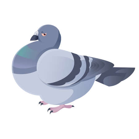image of a cartoon bird pigeonのイラスト素材