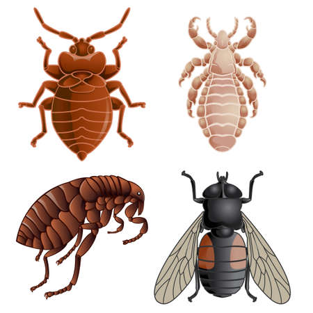 Vector image of set of icons with pestsのイラスト素材