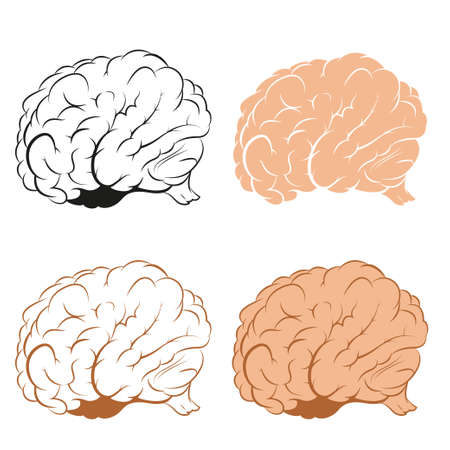 Vector image of brains in diffirent styleのイラスト素材