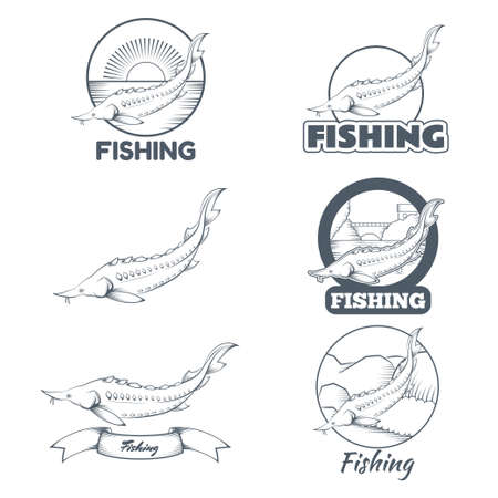 image  of set of black and white sturgeon bannersのイラスト素材