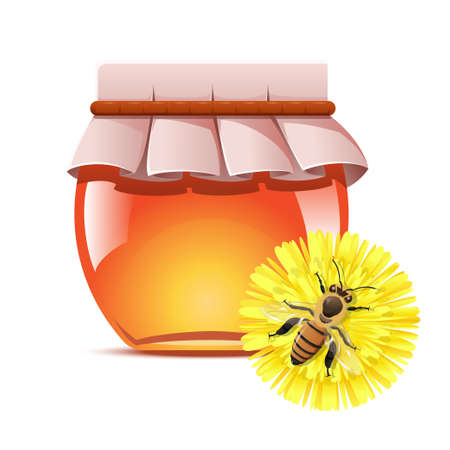 image of Honey and a bee on the flowerのイラスト素材