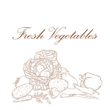 image of the fresh vegetables bannerのイラスト素材