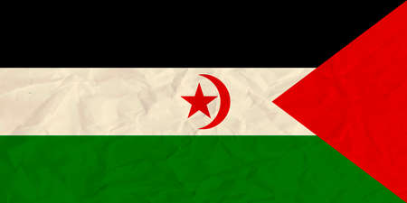 Vector image of the Sahrawi Arab Democratic Republic paper  flagのイラスト素材