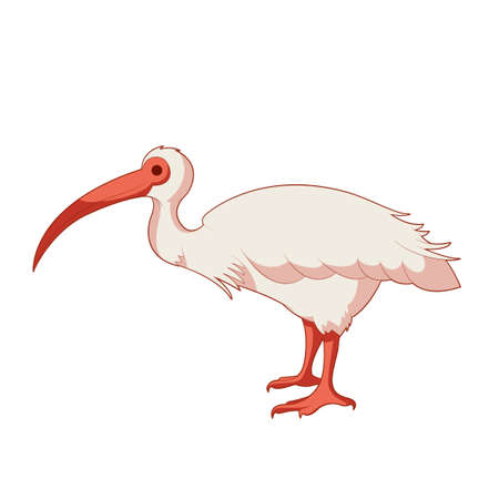 Vector image of the Cartoon smiling Ibisのイラスト素材