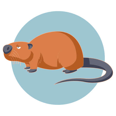 Vector image of the Cartoon brown nutriaのイラスト素材