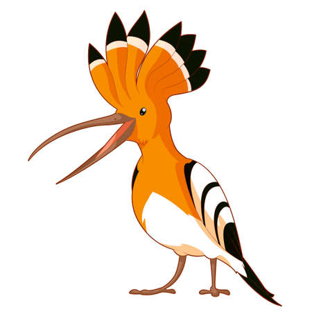 image of the Cartoon  smiling Hoopoeのイラスト素材