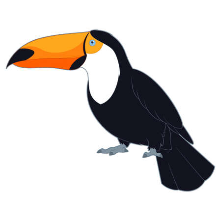 image of the  Cartoon Smiling Toucanのイラスト素材