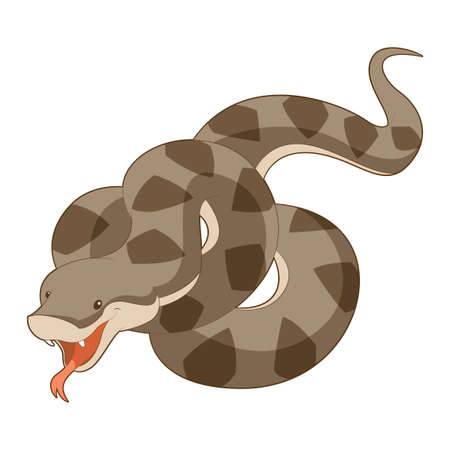 image of the  Cartoon smiling Viperのイラスト素材