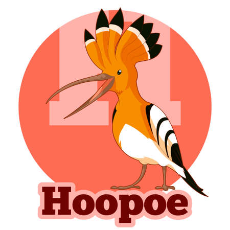 Vector image of the ABC Cartoon Hoopoeのイラスト素材